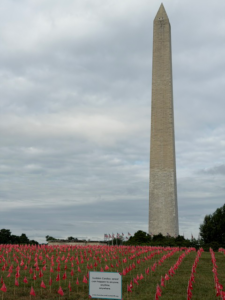 Washington Monument with flags