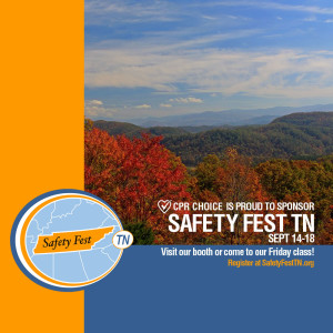 Safety Fest TN 2015