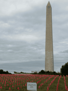 Washington Monument with flags